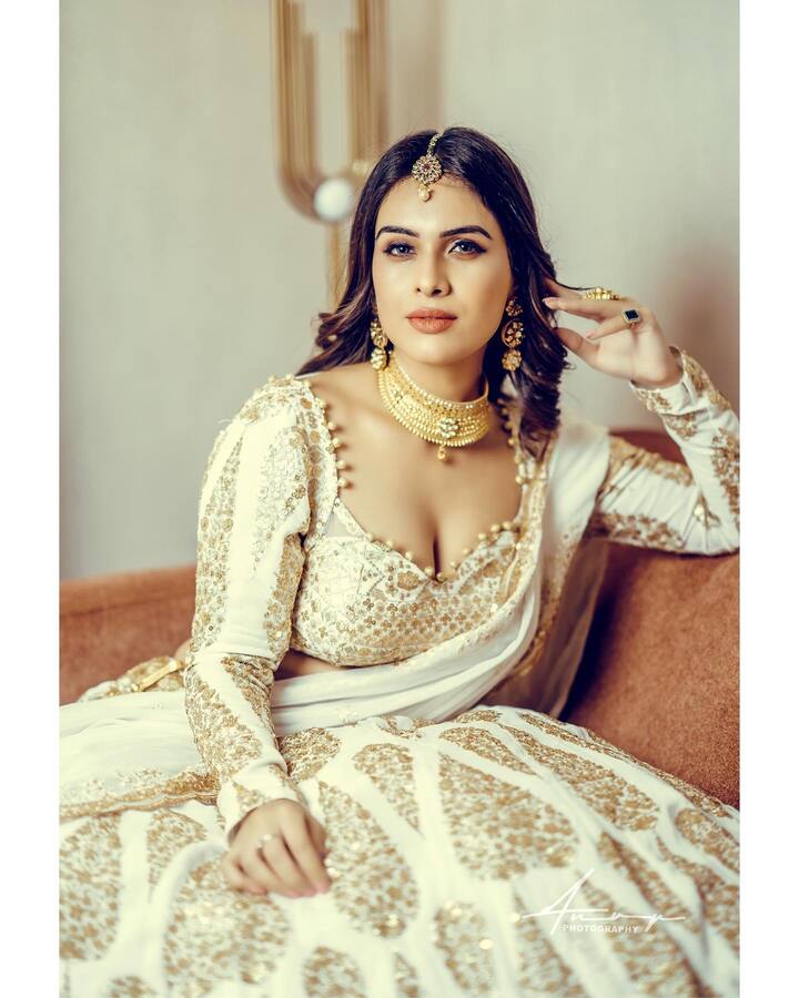 यावेळी नेहा मलिकने ट्रेडिशनल अंदाजातील फोटो इंस्टाग्रामवर शेअर केले आहेत.