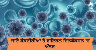 Bacterial and Virus Infection : ਜਾਣੋ ਬੈਕਟੀਰੀਆ ਤੇ ਵਾਇਰਲ ਇਨਫੈਕਸ਼ਨ 'ਚ ਅੰਤਰ ? ਇੱਥੇ ਪੜ੍ਹੋ ਪੂਰੀ ਜਾਣਕਾਰੀ