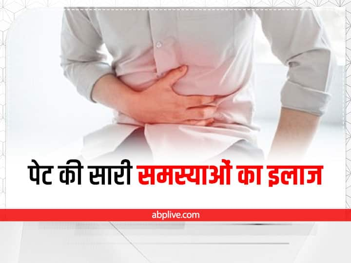 Food For Healthy Stomach: पेट को बीमारियों से दूर रखना है तो खाने में फाइबर से भरपूर आहार शामिल करें. इससे वजन घटाने में भी मदद मिलेगी.