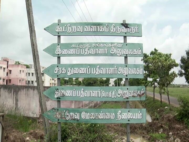 திருவாரூரில்  வயல்வெளியில் நடக்கும் கூட்டுறவு மேலாண்மை நிலைய  மாணவிகள் - சாலை அமைக்க கோரிக்கை