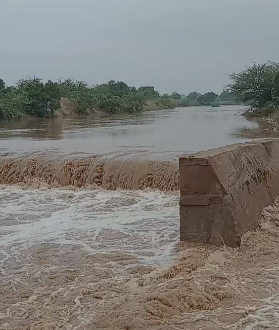 सोयाबीन आणि कापसाला मोठा फटका
