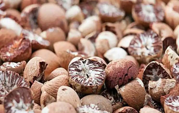 Nagpur Crime News Where did the seized betel nut worth Rs 8 crore disappeared Nagpur Police : 8 कोटी रुपयांची जप्त केलेली सुपारी गेली कुठे? तीन महिन्यात केवळ 82 लाखांचा माल पकडला, FDAचं दुर्लक्ष