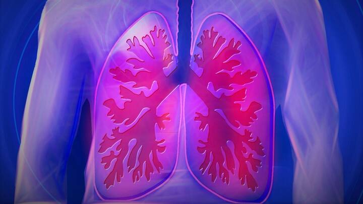 Taking Care Of Lungs: ফুসফুস। দেহের অন্যতম গুরুত্বপূর্ণ অঙ্গ। কিন্তু বহু সময়ই দেখা যায়, যত ক্ষণ পর্যন্ত এই অঙ্গে কোনও সমস্যা না তৈরি হচ্ছে তার যত্নআত্তি নিয়ে আলাদা করে আমরা কিছু ভাবি না।