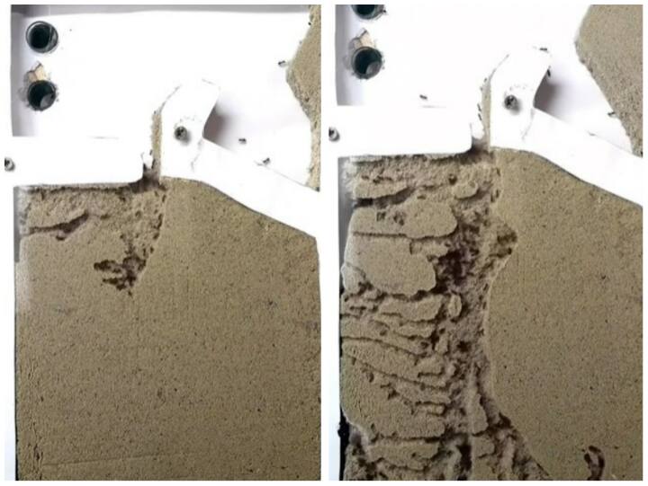 Video: जमीन के नीचे चीटियां कुछ ऐसे बनाती हैं घर, वीडियो हुआ वायरल Ants were seen making nest under the ground Video goes viral on social media Video: जमीन के नीचे चीटियां कुछ ऐसे बनाती हैं घर, वीडियो हुआ वायरल