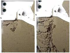 जमीन के नीचे चीटियां कुछ ऐसे बनाती हैं घर, वीडियो हुआ वायरल