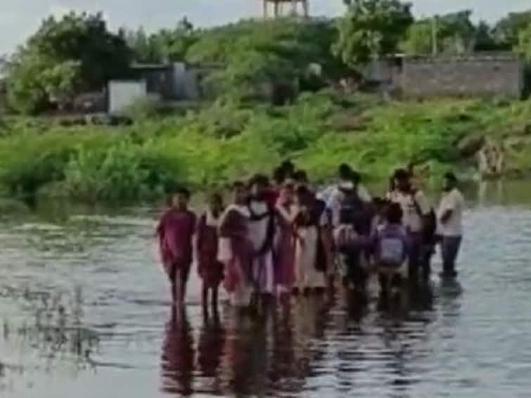 Shahajibapu Patil News Students from Jujarpur in Sangola taluka are going to school by through water Sangola News : शहाजीबापूंच्या मतदारसंघात सगळं काही  NOT OK, विद्यार्थ्यांना काढावी लागतेय पाण्यातून वाट