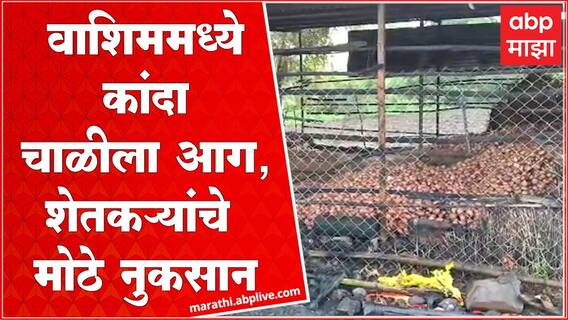 Washim Fire : वाशिममध्ये कांदा चाळीला आग, इतर शेती साहित्यही भस्मसात झाल्यानं शेतकऱ्याचे नुकसान