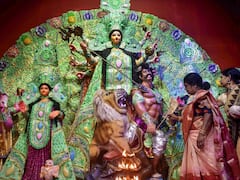 তৃণমূল নেতা ছাড়া অন্য দলের সাংসদ-বিধায়করা আমন্ত্রণ পাননি কার্নিভালে, অভিযোগ ঘিরে চাপানউতোর