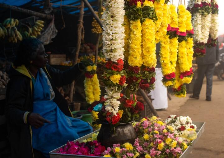 दिवाळी सणाच्या पार्श्वभूमीवर फुलांच्या किंमतीत वाढ होण्याची शक्यता आहे