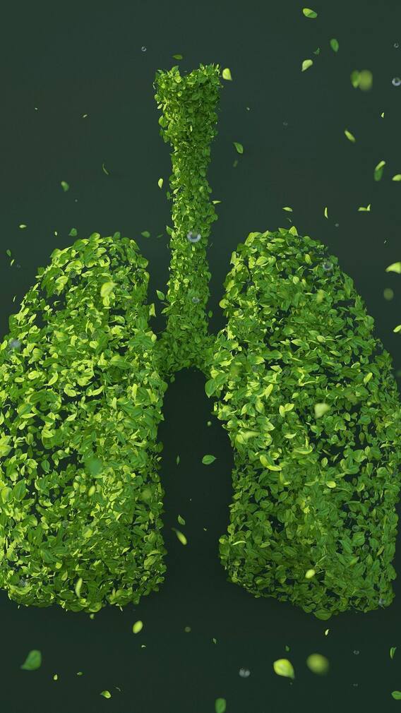 ফুসফুসের দেখভালে জরুরি টিপস!