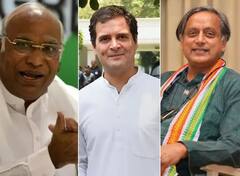 ABP C-Voter Survey: ਕੌਣ ਹੋਣਾ ਚਾਹੀਦਾ ਹੈ ਕਾਂਗਰਸ ਦਾ ਪ੍ਰਧਾਨ, ਜਵਾਬ ਨੇ ਕਰ ਦਿੱਤਾ ਹੈਰਾਨ