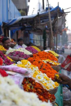 Photo : दिवाळीच्या पार्श्वभूमीवर फुलांचा 'सुगंध' महागणार