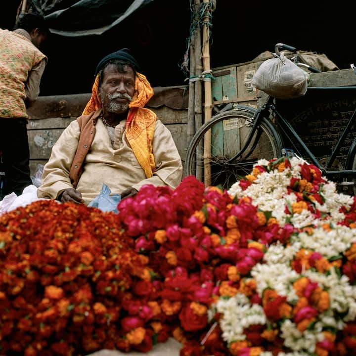 पावसामुळं फुलांच्या उत्पादनावर परिणाम
