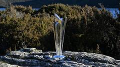 ICC T20 WC: গত টি-টোয়েন্টি বিশ্বকাপগুলিতে টুর্নামেন্ট সেরা হয়েছিলেন কারা?