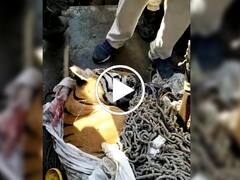 बिहार में आदमखोर बाघ का खेल खत्म, टीम ने मारकर गिराया, अब तक ले चुका था 9 लोगों की जान