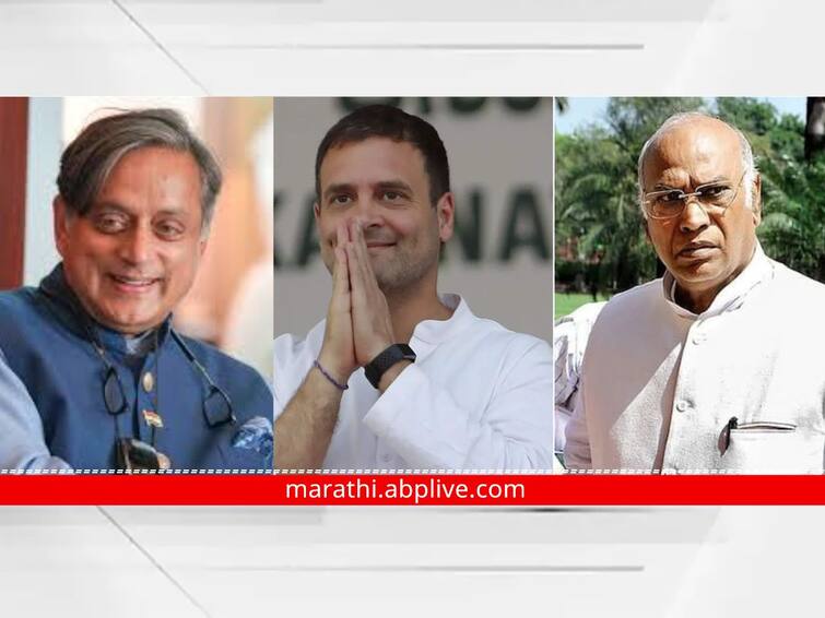 Who should be made the Congress president? Find out what people said in abp c-voter survey ABP C-Voter Survey: काँग्रेस अध्यक्ष कोणाला बनवले पाहिजे? जाणून घ्या सर्वेक्षणात काय म्हणाले लोक