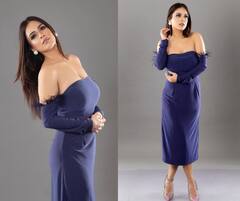 Neha Malik : ऑफ शोल्डर ड्रेसमध्ये नेहा मलिकचा स्टनिंग अंदाज, सुंदर फोटोंनी वेधलं लक्ष