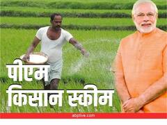 PM Kisan Scheme: दिवाली से पहले बड़ी खुशखबरी! पीएम किसान योजना की 12वीं किस्त के पैसे इस दिन किए जाएंगे ट्रांसफर