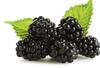 Black foods : કાળા રંગના આ ફૂડને ડાયટમાં કરો સામેલ, હંમેશા હેલ્ધી રહેશો