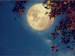 October Full Moon 2022: Hunter Moon To Rise After Midnight. When And How To Watch