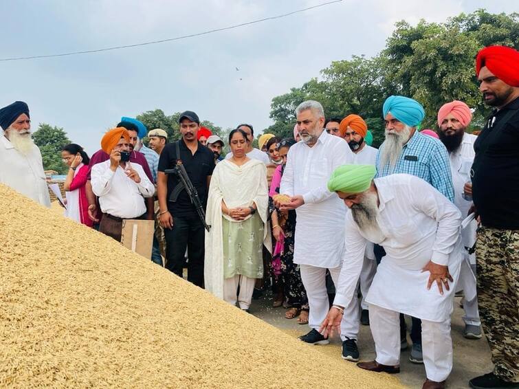 So far 6,78,702 metric tons of paddy has been purchased in the grain markets of Punjab. ਪੰਜਾਬ ਦੀਆਂ ਅਨਾਜ ਮੰਡੀਆਂ 'ਚ ਹੁਣ ਤੱਕ 6,78,702 ਮੀਟ੍ਰਿਕ ਟਨ ਝੋਨੇ ਦੀ ਹੋਈ ਖ਼ਰੀਦ