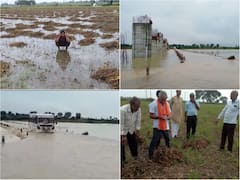 Kota News: दिवाली से पहले ही किसानों का निकला दिवाला, बारिश से 80 प्रतिशत फसल बर्बाद होने का अनुमान