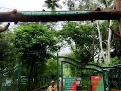 रालामंडल में नाइट सफारी के बाद पर्यटन को बढ़ावा देने के लिए बड़ा फैसला, वन विभाग ने दी ये जानकारी