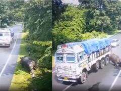 असम के काजीरंगा में गैंडे का ट्रक से एक्सीडेंट, सीएम सरमा बोले- बचाने के लिए बना रहे एलिवेटेड कॉरिडोर