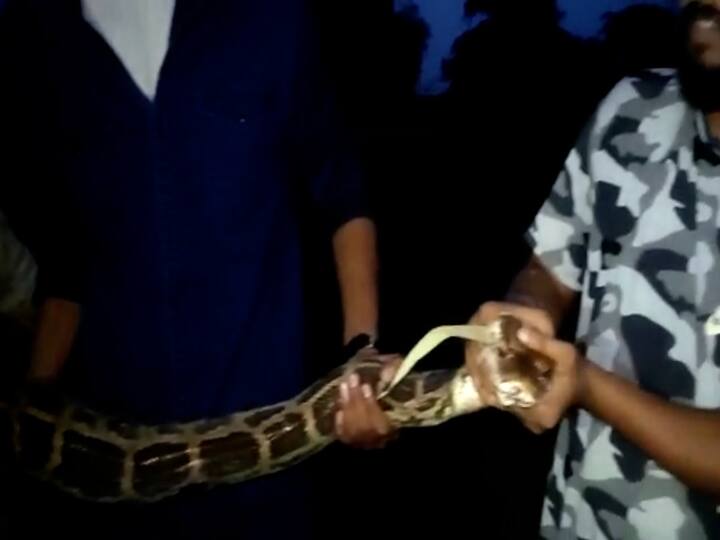 सदर माहिती अर्थ कंजरवेशन ऑर्गनायझेशन संस्थेचे अध्यक्ष श्री मनोज वठे यांना देण्यात आली.