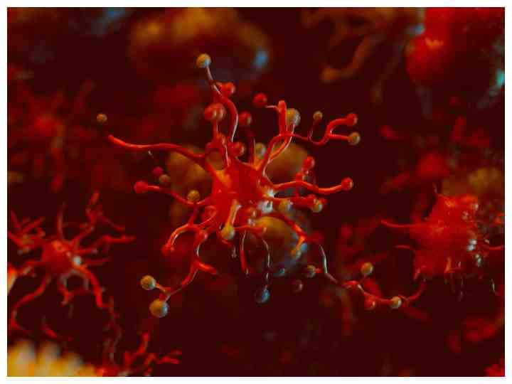 causes and symptoms of blood cancer बार-बार थकान दे सकता है ब्लड कैंसर का संकेत, जानें इसके लक्षण और कारण