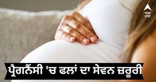 Fruits Benefits in Pregnancy : ਗਰਭ ਅਵਸਥਾ 'ਚ ਫਲਾਂ ਦਾ ਸੇਵਨ ਜ਼ਰੂਰੀ, ਜਾਣੋ ਕਿਹੜੇ ਫਲਾਂ ਤੋਂ ਬਣਾ ਕੇ ਰੱਖਣੀ ਚਾਹੀਦੀ ਦੂਰੀ