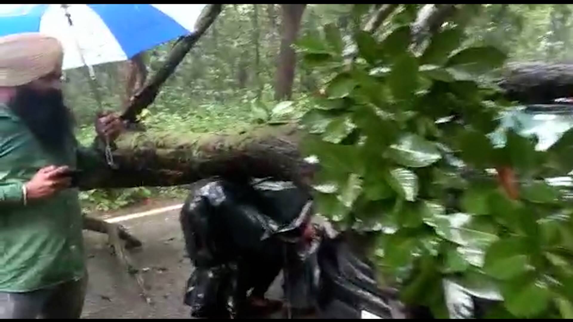 ABP News ABP News