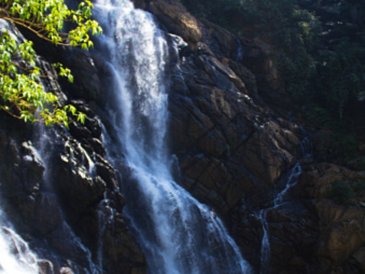 Soochipara Falls (Image Source: Getty)