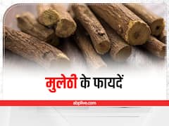Mulethi Benefits: मुलेठी सिर्फ गला साफ करने के काम नहीं आती, रोज चबाएं तो इसके ये गुण आपको हेल्दी रखेंगे
