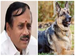 H.Raja : அடித்துக் கொல்லப்பட்ட நாய் : எச்.ராஜா மீது நடவடிக்கை எடுக்கப்படுமா..?