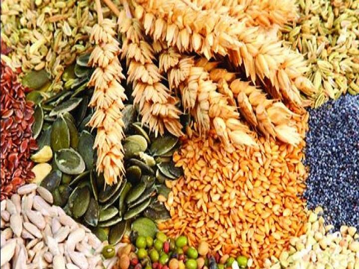 Vasantrao Naik Marathwada Agricultural University has discovered three new species of crops Crop Seeds: इस यूनिवर्सिटी ने फसलों की 3 नई प्रजातियां खोजी, पोषक तत्वों से भरपूर, मिलेगी बंपर पैदावार