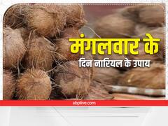 Mangal Upay: मंगलवार के दिन इन 5 कामों को करने से प्रसन्न होते हैं हनुमान जी