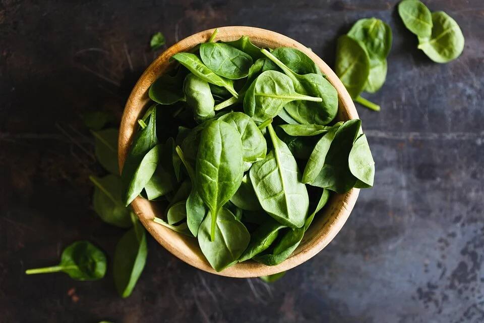 Health Tips : बदलत्या ऋतूत निरोगी राहण्यासाठी 'या' पदार्थांचे सेवन करा; मिळतील अनेक फायदे