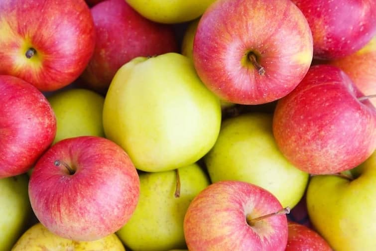 Apple has become very cheap per kilogram in the market Kashmiri Apple Market: बेहद सस्ता हुआ सेब, दाम में 30 फीसद की गिरावट, खरीदने से पहले जानिए वजह?
