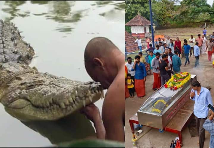 Vegetarian crocodile Babia lived in Sri Ananthapadmanabha Swamy Temple Lake in Kerala for 70 years found dead People pay tribute Kerala News: 70 साल से मंदिर की झील में रह रहे शाकाहारी मगरमच्छ बबिया की मौत, दी गई श्रद्धांजलि