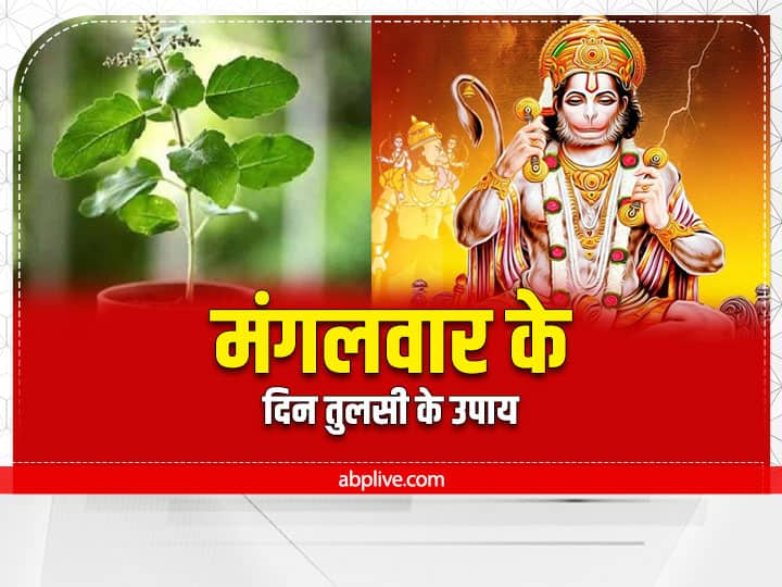 मंगलवार के दिन हनुमान जी के चरणों में तुलसी के पत्ते पर सिंदूर से श्री राम लिखकर उन्हें अर्पित करें. इससे भक्तों के सारे कष्ट दूर हो जाते हैं.