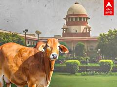 National Animal Issue : எங்களுக்கு வேற வேலை இல்லையா? -பசு பாதுகாவலர்களுக்கு உச்சநீதிமன்றம் காட்டம்