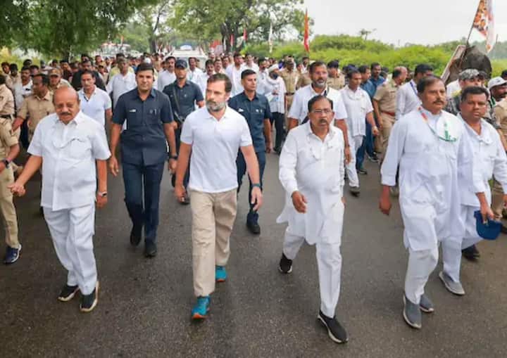 ਰਾਹੁਲ ਗਾਂਧੀ ਨੇ ਕਿਹਾ ਕਿ ਇਹ ਨਦੀ ਵਰਗੀ ਯਾਤਰਾ ਕੰਨਿਆਕੁਮਾਰੀ ਤੋਂ ਕਸ਼ਮੀਰ ਤੱਕ ਜਾਵੇਗੀ ਅਤੇ ਤੁਹਾਨੂੰ ਇਸ ਨਦੀ ਵਿੱਚ ਨਫ਼ਰਤ ਅਤੇ ਹਿੰਸਾ ਦਾ ਕੋਈ ਨਿਸ਼ਾਨ ਨਹੀਂ ਦਿਖਾਈ ਦੇਵੇਗਾ। (ਇਸ ਵਿੱਚ) ਸਿਰਫ਼ ਪਿਆਰ ਅਤੇ ਭਾਈਚਾਰਾ ਹੋਵੇਗਾ ਕਿਉਂਕਿ ਇਹ ਭਾਰਤ ਦਾ ਇਤਿਹਾਸ ਹੈ ਅਤੇ ਇਹ ਇਸ ਦੇ ਡੀਐਨਏ ਵਿੱਚ ਹੈ।