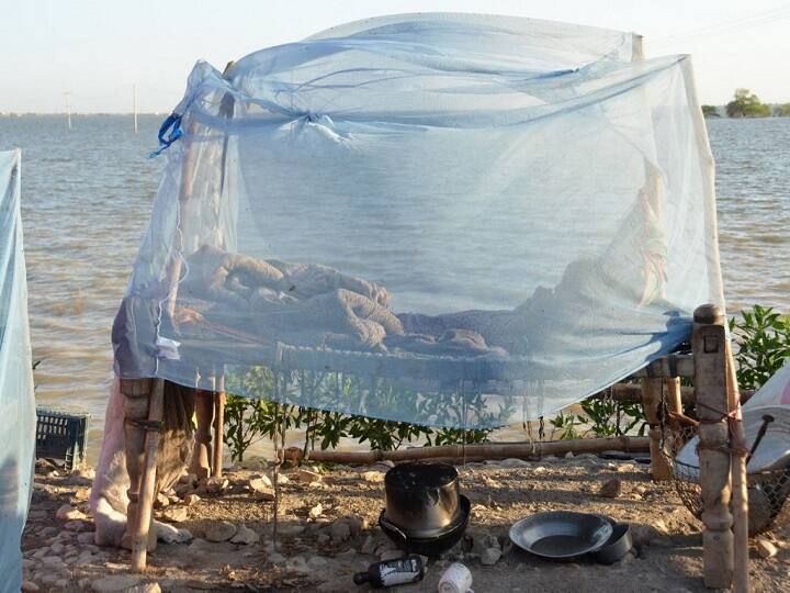 Pakistan health ministry 6 million mosquito nets purchase India malaria who Global Fund un economic crisis Flood-Hit Pakistan Approves Purchase Of Over 6 Million Mosquito Nets From India: Report