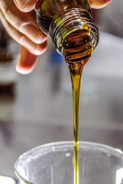 Oil and Ghee: তেলের বদলে ঘি খাওয়া কি ভাল? শরীরের জন্য কোনটিতে উপকার বেশি?