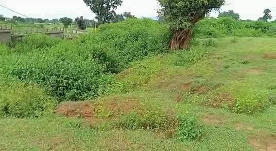 Balrampur: मिनी स्टेडियम की जमीन पर दबंगों ने किया कब्जा, खेल के मैदान पर उगा दी फसल