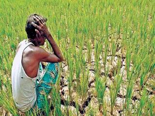 Marathwada: राज्यात सत्तासंघर्ष सुरु असतांना गेल्या 9 महिन्यात 756 शेतकऱ्यांनी संपवलं जीवन