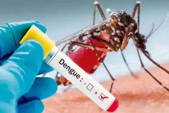 Mohali News: The fury of dengue increased in Mohali, over 600, know about prevention and treatment Mohali News: ਮੋਹਾਲੀ 'ਚ ਵਧਿਆ ਡੇਂਗੂ ਦਾ ਕਹਿਰ, 600 ਦੇ ਪਾਰ, ਜਾਣੋ ਬਚਾਅ ਤੇ ਇਲਾਜ