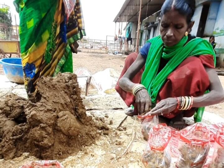 Chhattisgarh shopping malls packet of cow dung is being sold for 10 Rs ANN Raipur News: आखिर छत्तीसगढ़ के शॉपिंग मॉल में क्यों बिक रहा है गोबर?
