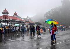 Himachal Weather News: शिमला में हो रही झमाझम बरसात, रोहतांग और धौलाधार सहित ऊंची पहाड़ियों पर बर्फबारी, देखें तस्वीर
